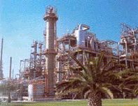 UBE Chemical Europe, S.A.(Spain)