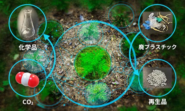 サステナブル物質変換技術