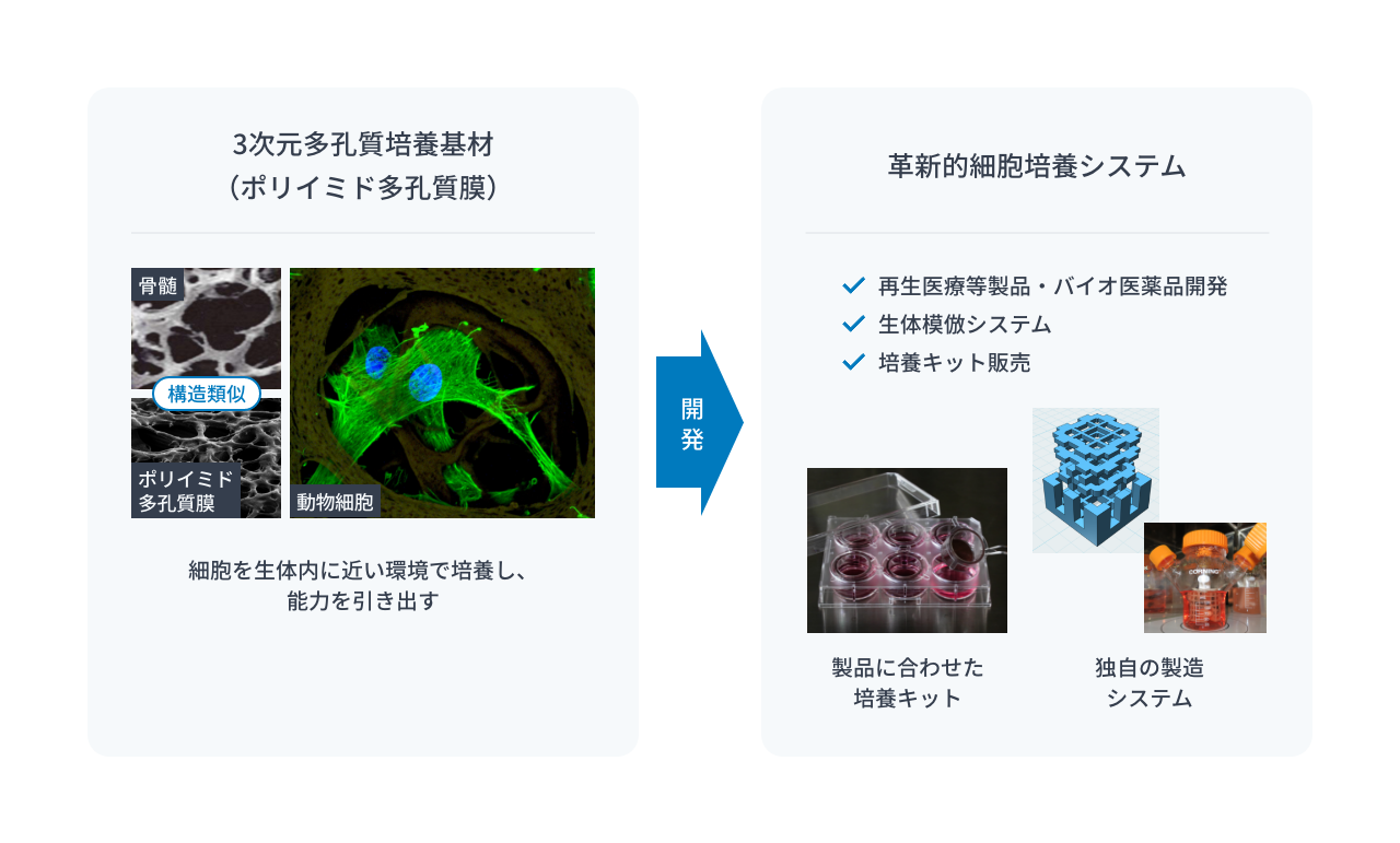 ３次元培養基材