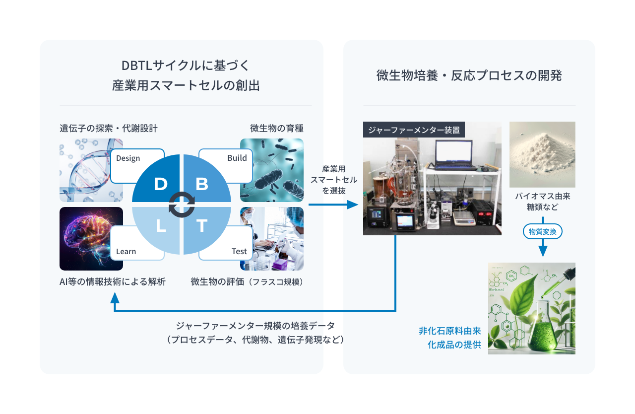 再生医療実現に向けた研究例