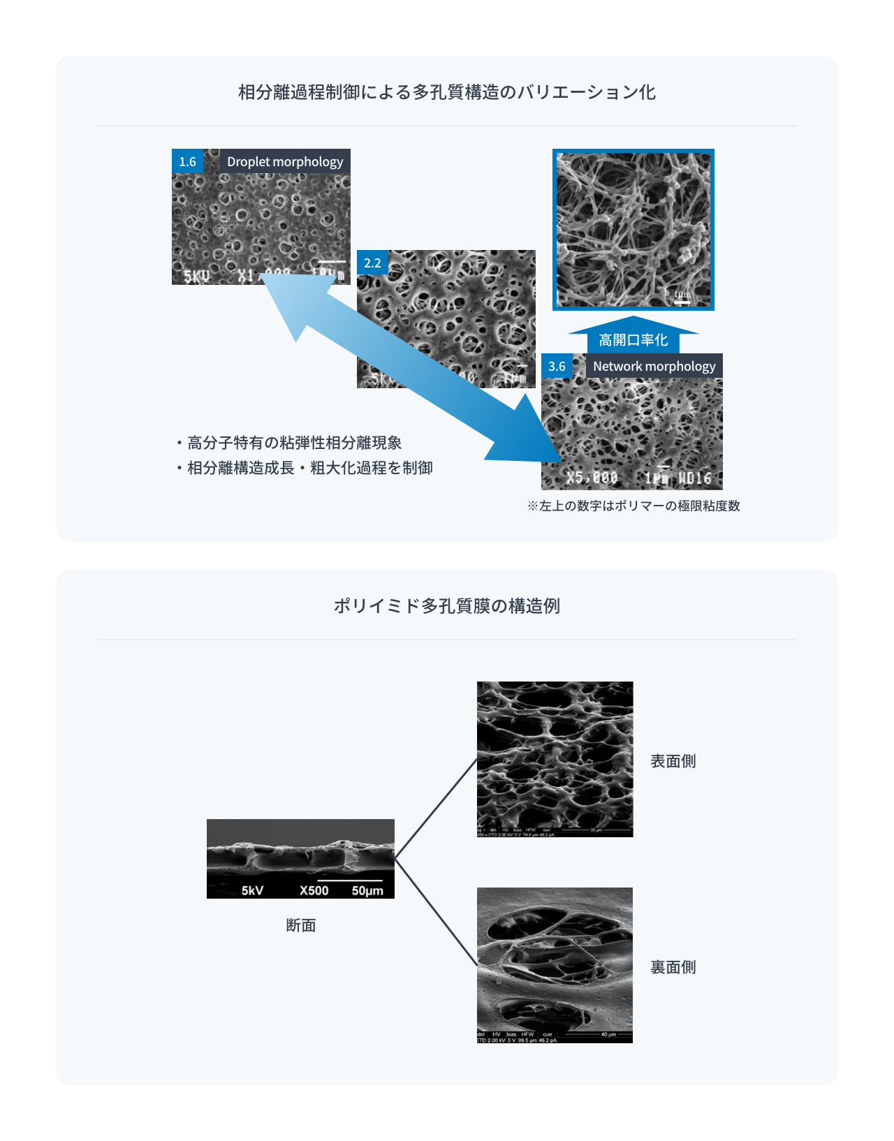 ポリマー多孔質膜構造体