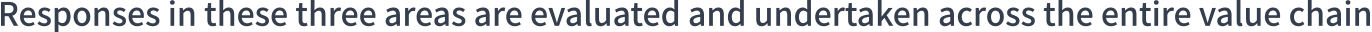 Responses in these three areas are evaluated and undertaken across the entire value chain