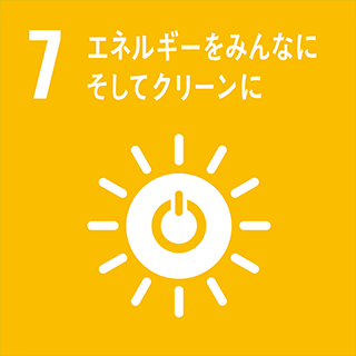 SDG 7