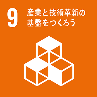 SDG 9